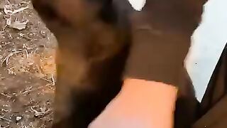 funny cats ???? episode 3