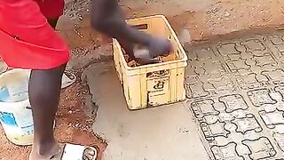 Innovator in the world of construction.