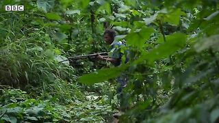The Tsimane Amazon tribe where people age better - BBC World Service