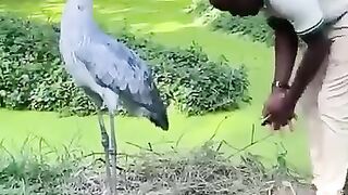 very cute bird