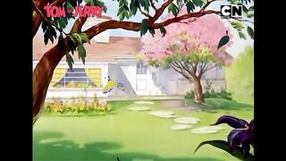 Tom & Jerry ???????? | An Ode to Chaos! | Non-stop Masti ????| Funny Chases ????| Only on Cartoon Network | undefined