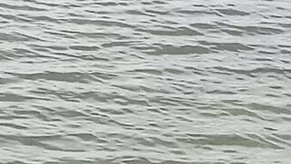 Bangladeshi village sea like it’s very nice scenery