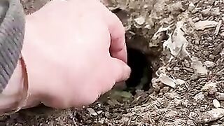 Animal cute 3