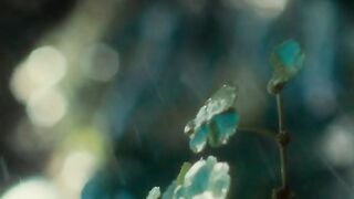 Rain in the garden (ASMR)