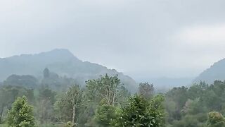 Scenic Views of Tea Gardens