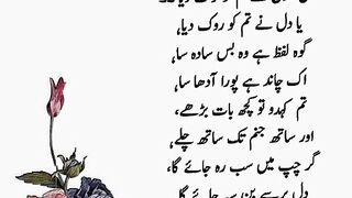 Urdu beautiful quotes and Urdu poetry //golden words //aqwale Zareen //heart touching Urdu quotes