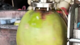 Amazing Coconut skills