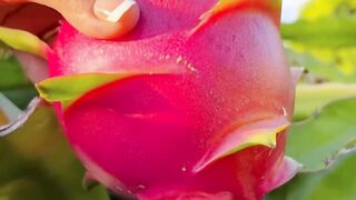 DRAGON FRUIT FRESH