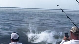 fishing attact