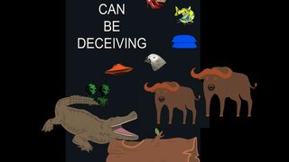 Looks Can Be Deceiving