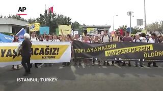 Thousands protest against controversial law to remove stray dogs in Turkey