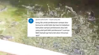 PENDEDERAN vs PEMBESARAN❗Lebih UNTUNG mana❓