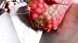 Potato chips mega factory