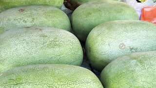 THE BIGGER WATER MELON