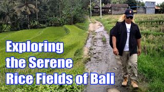 Exploring the Serene Rice Fields of Bali: A Nature Lover’s Paradise
