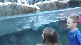 Beluga Whale is AMAZED by Tricks!   Funny Aquarium Videos