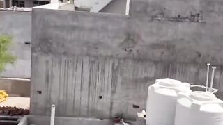 Spider man ???????????? cocking