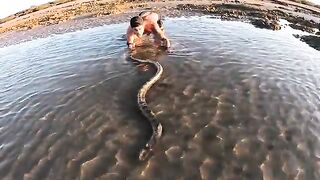 Exploring For Sea Animals In Tide Pools