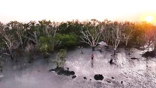 Living On A Tree Tent In Crocodile Country