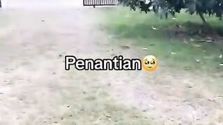 Many Children Pick Up  Raw Manggo