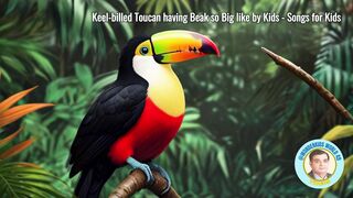 Keel-billed Toucan having Beak so Big like by Kids - Songs for Kids