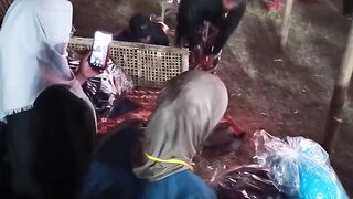 Tumang Fair Festival 2024