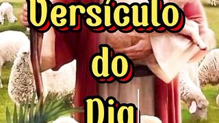 Versículo do Dia. 129