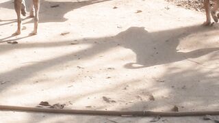 Dog's 2