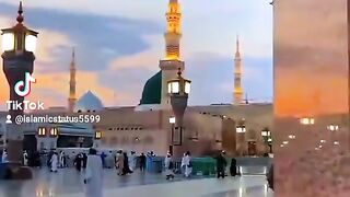 video 900