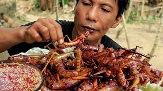Eat crispy and delicious fried grasshoppers