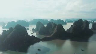 island of snakes সাপের দ্বীপ ব্রাজিল