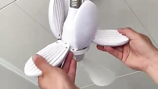 Light with fan