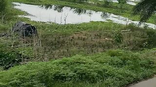 Bangladeshi village go to bus traverses like it my country