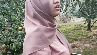Panen buah jeruk di area perkebunan