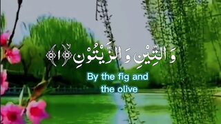 Quran Surah 73