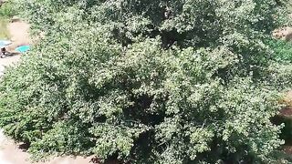 Красивый вид из окна