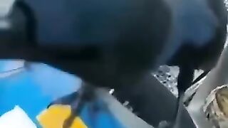 Part_335___Funny_animals_videos_from_TikTok!_Try_not_to_laugh!_????????????????????(360p).