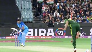 Cricket lover
