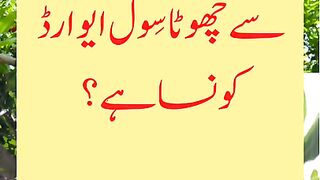 GK Question And Answer in Urdu | General Knowledge MCQS | Pakistan History | Current Affair | #short