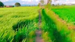 My beautiful village view ❤️