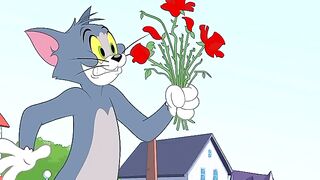entertainment cartoon for kids full fun