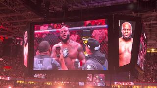 The black beast ufc 291 slcu.usa, uk 2024 by  on Febspot