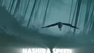 Hasira speed