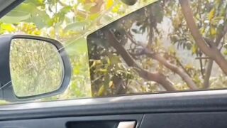 very very funny videos