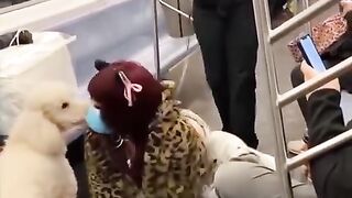 #FUNNY VIDEOS. Try not to laugh.5.This video is chaos, but in the best way!