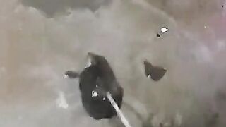 #FUNNY VIDEOS. Try not to laugh.16.This video is packed with fun and surprises!