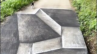 #FUNNY VIDEOS. Try not to laugh.14.This was a complete mess, but so much fun!