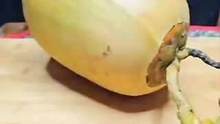 Cutting coconut