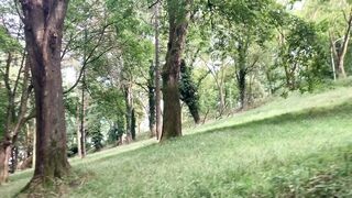 "Nature's Harmony: A Symphony of the Outdoors"