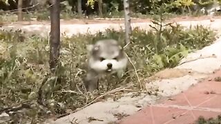 #FUNNY VIDEOS. Try not to laugh.26.What a day this turned out to be!